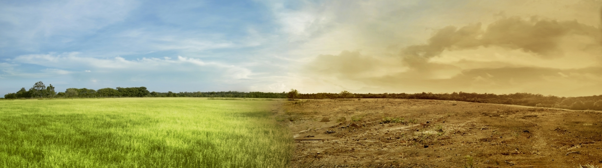 Landschap met ene helft groen en gezond en andere helft verdroogd