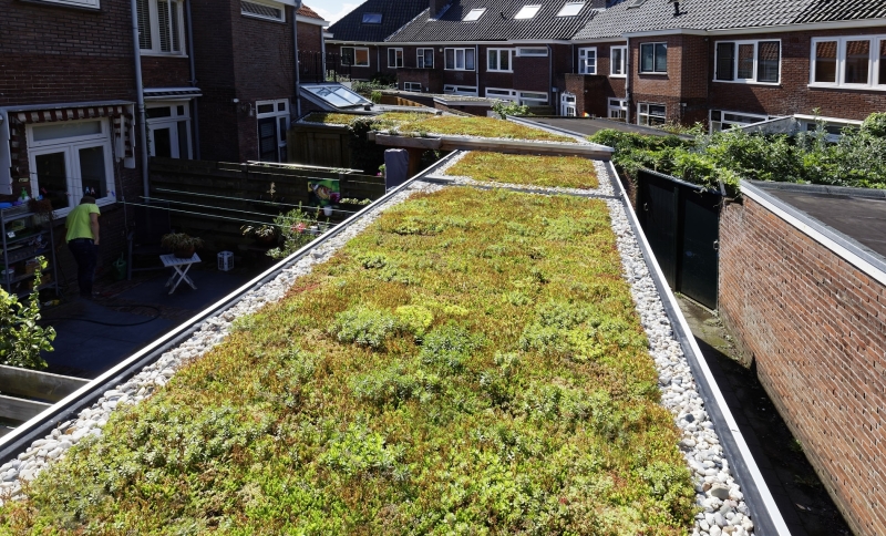 Bovenaanzicht van schuurtjes met groene daken