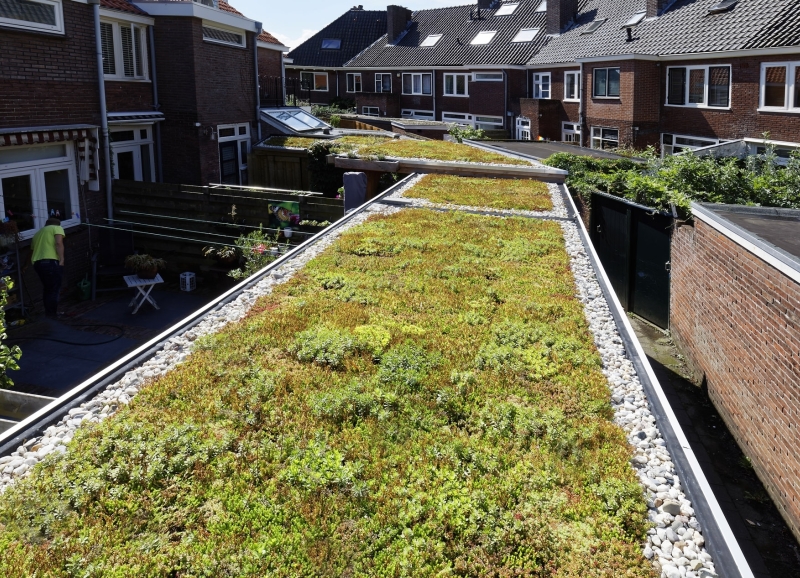 Bovenaanzicht van schuurtjes met groene daken