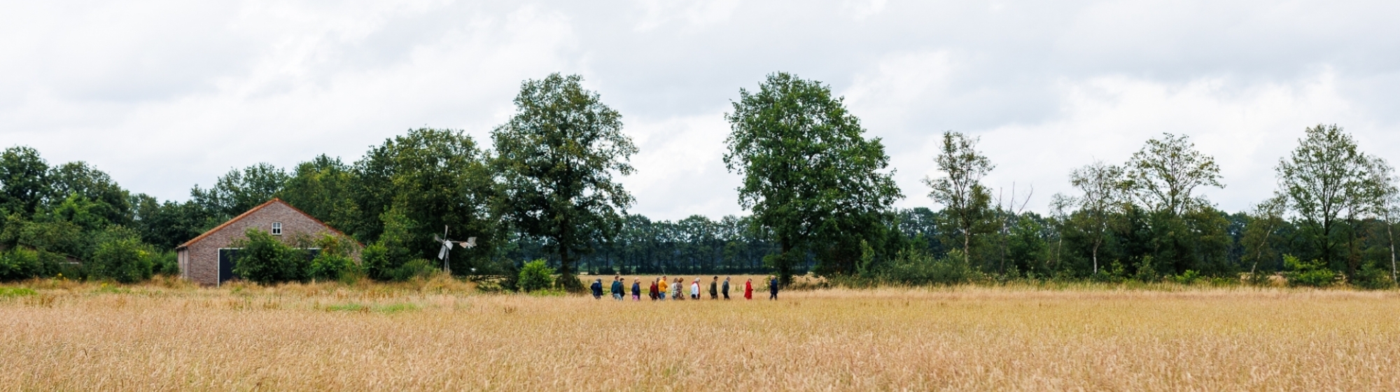 Een groepje mensen wandelt achter elkaar door een natuurgebied in de Peel