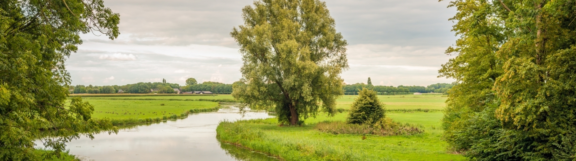 Natuurlandschap in Noordoost-Brabant