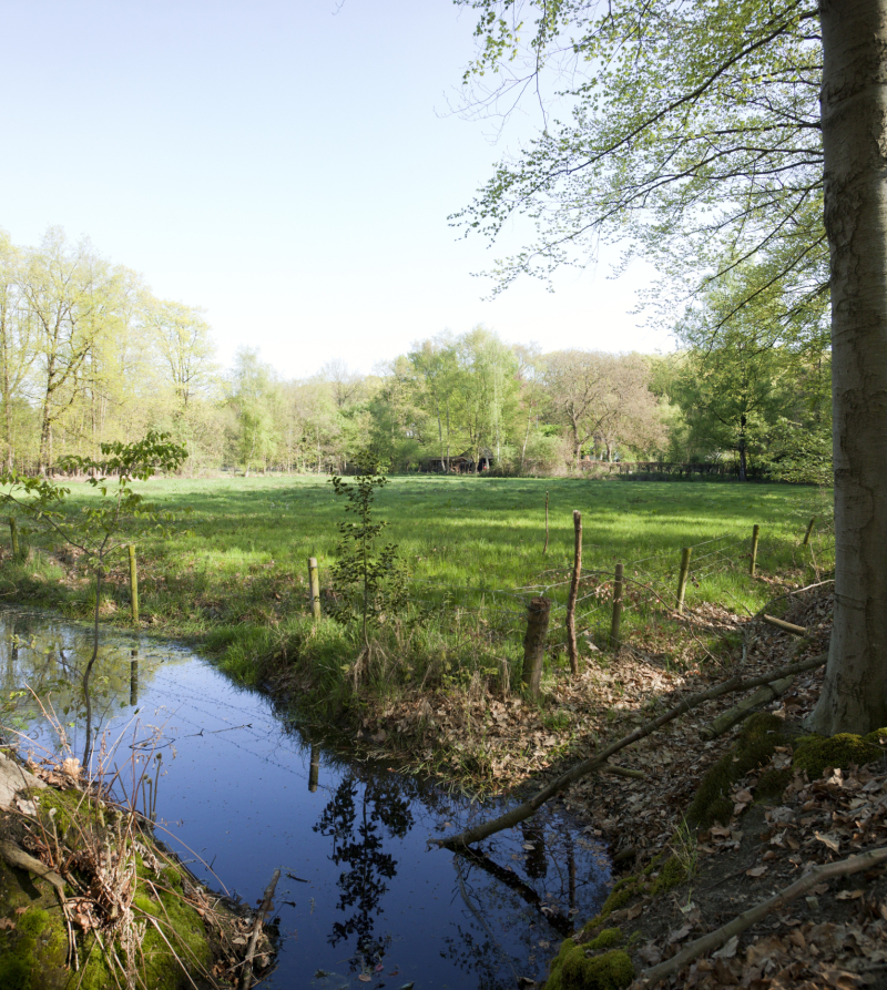 Foto van landschap met sloot en bomen