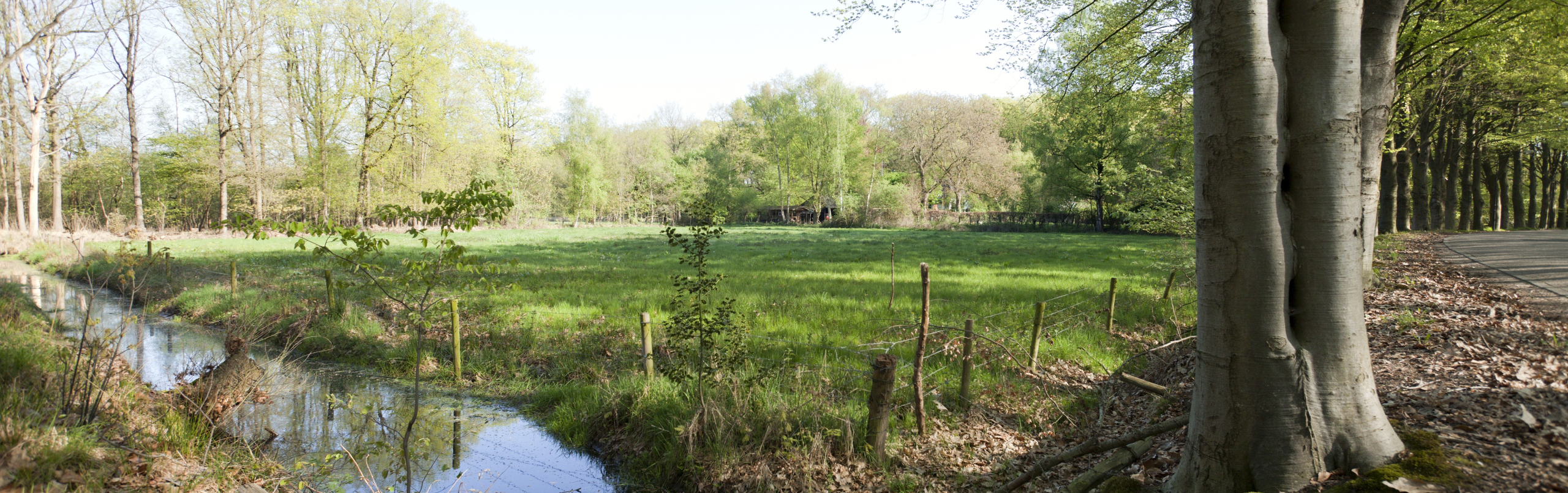 Foto van landschap met sloot en bomen