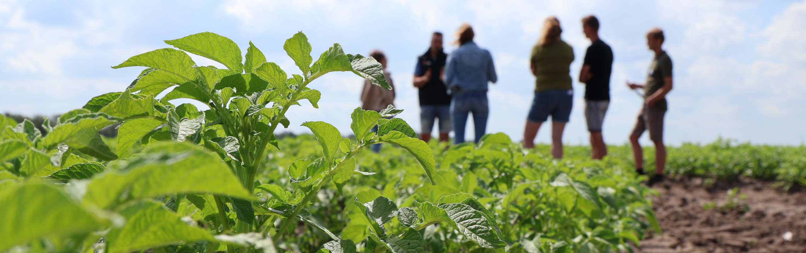 Foto van bezoekers aan een landbouwproefveld