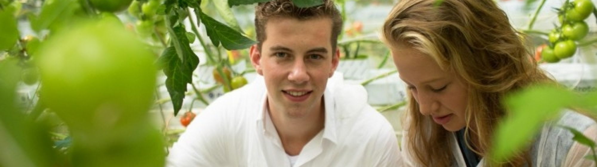 Twee studenten in een kas met tomaten