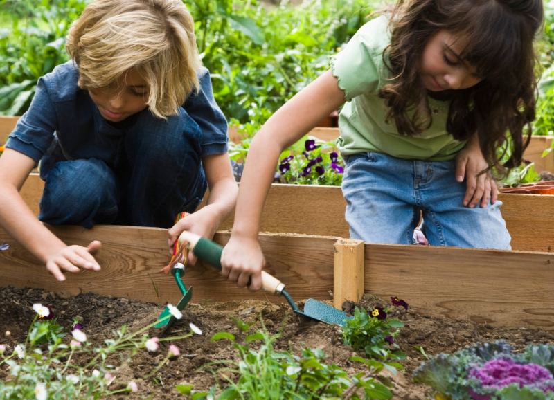 Twee kinderen schoffelen in het zand in een moestuintje