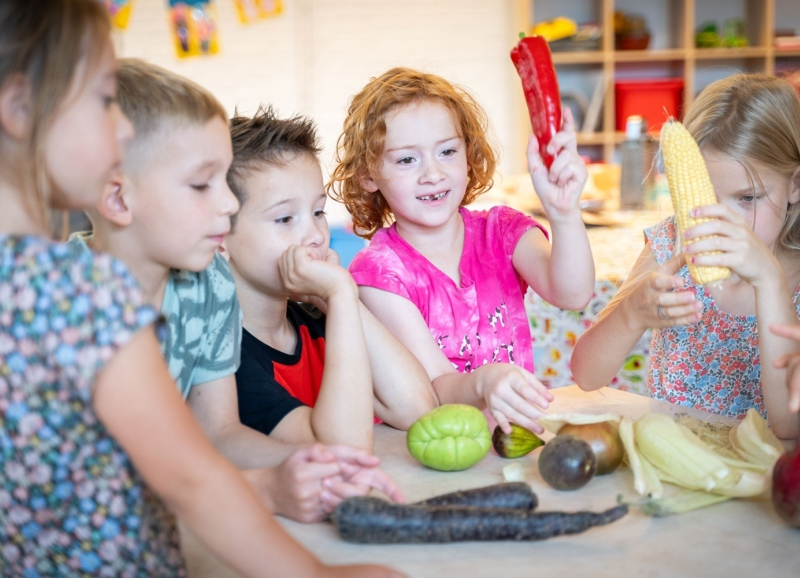 Vij kinderen aan tafel leren over groenten