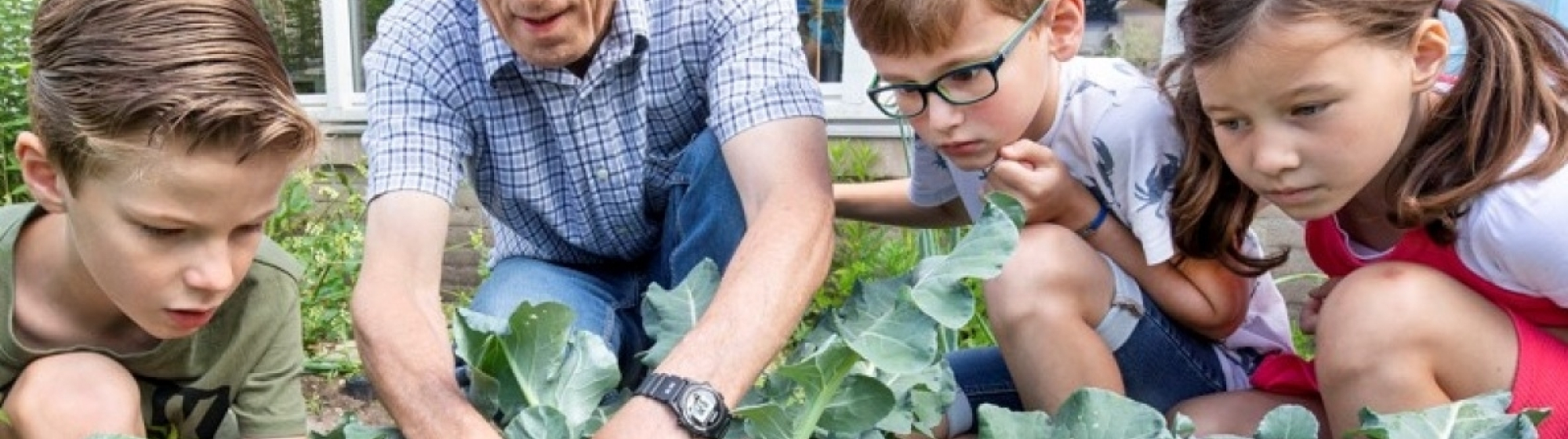 Kinderen en leraar kijken hoe bloemkool groeit