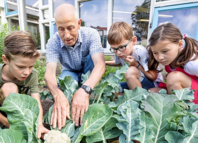 Kinderen en leraar kijken hoe bloemkool groeit