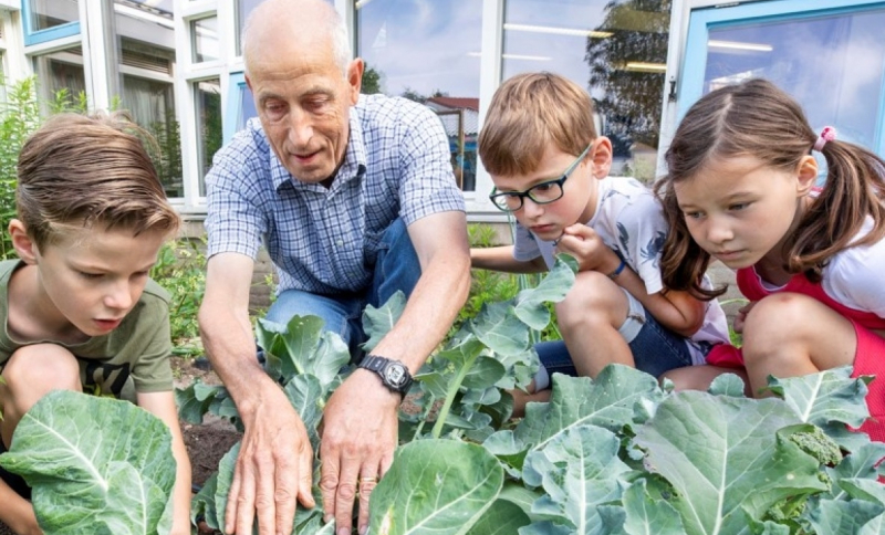 Kinderen en leraar kijken hoe bloemkool groeit