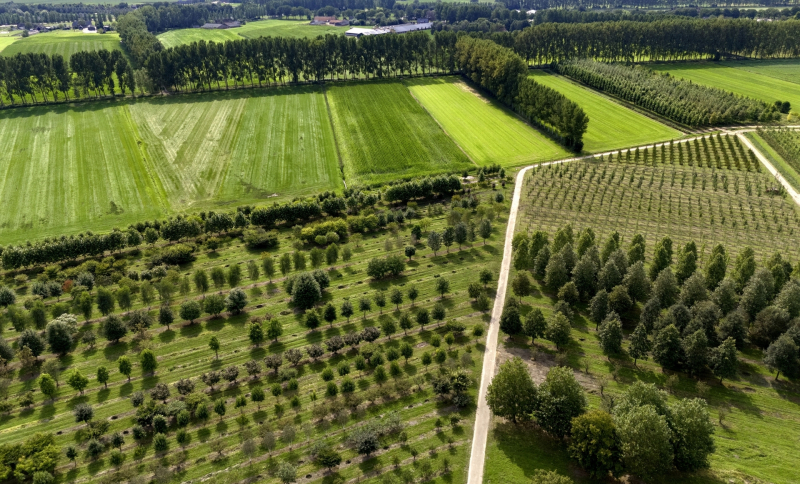 Luchtfoto van groen landschap in Noordoost-Brabant