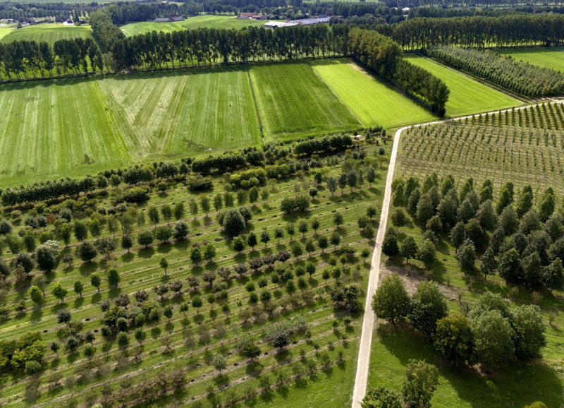 Luchtfoto van groen landschap in Noordoost-Brabant