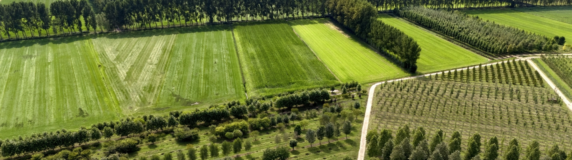 Luchtfoto van groen landschap in Noordoost-Brabant