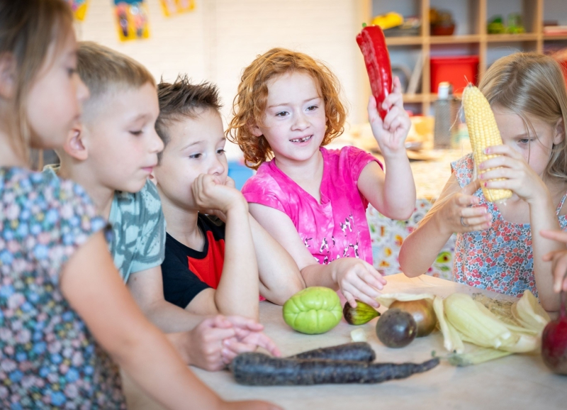 Kinderen leren over gezonde groenten aan de hand van groentenspelletjes