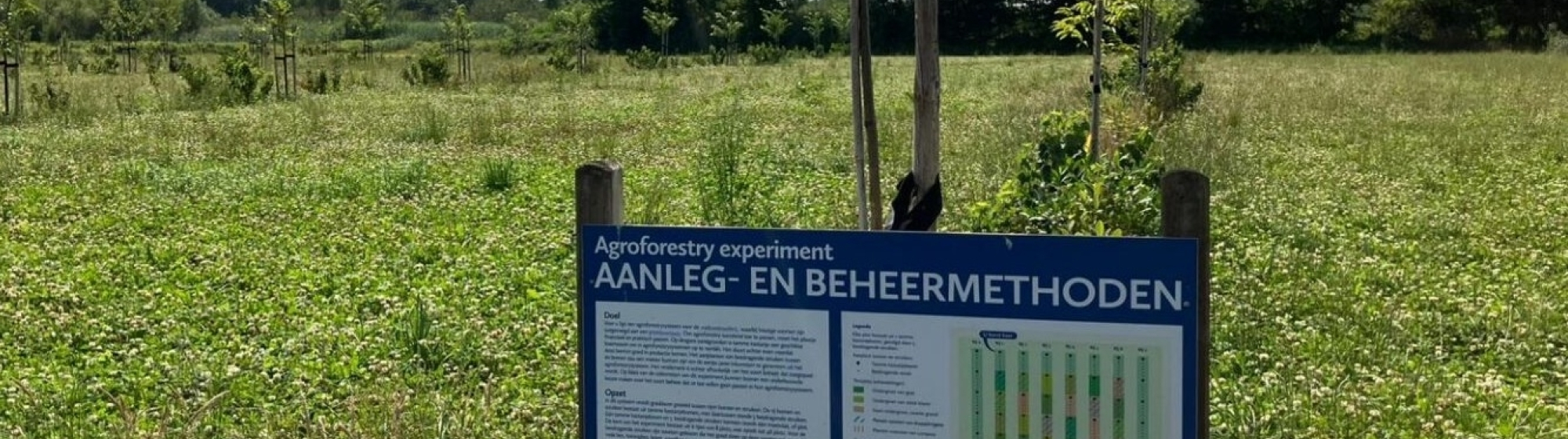 Infobord over aanleg- en beheermethoden bij een jong aangeplant boompje in een groene weide.