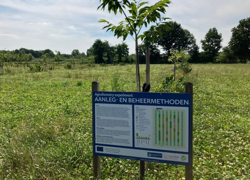 Infobord over aanleg- en beheermethoden bij een jong aangeplant boompje in een groene weide.
