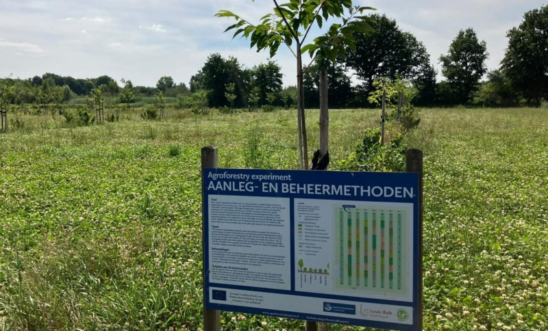 Infobord over aanleg- en beheermethoden bij een jong aangeplant boompje in een groene weide.