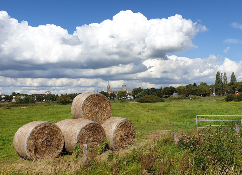 Hooibalen op groene weide met kerktorens en wolkenlucht in Noordoost-Brabant