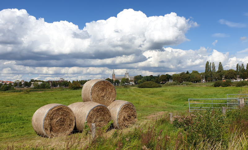 Hooibalen op groene weide met kerktorens en wolkenlucht in Noordoost-Brabant